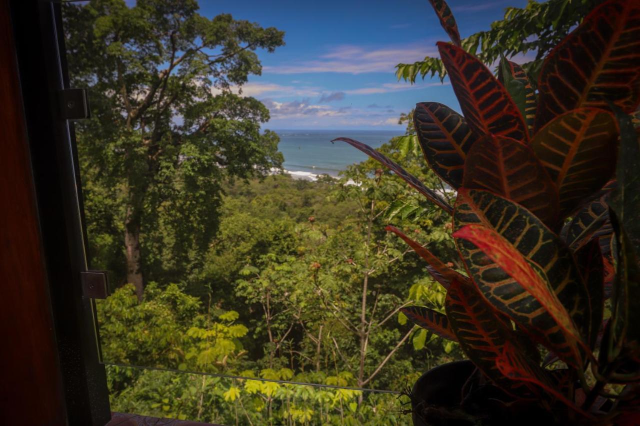 La Uvita Perdida エクステリア 写真