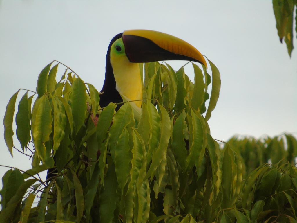 La Uvita Perdida エクステリア 写真